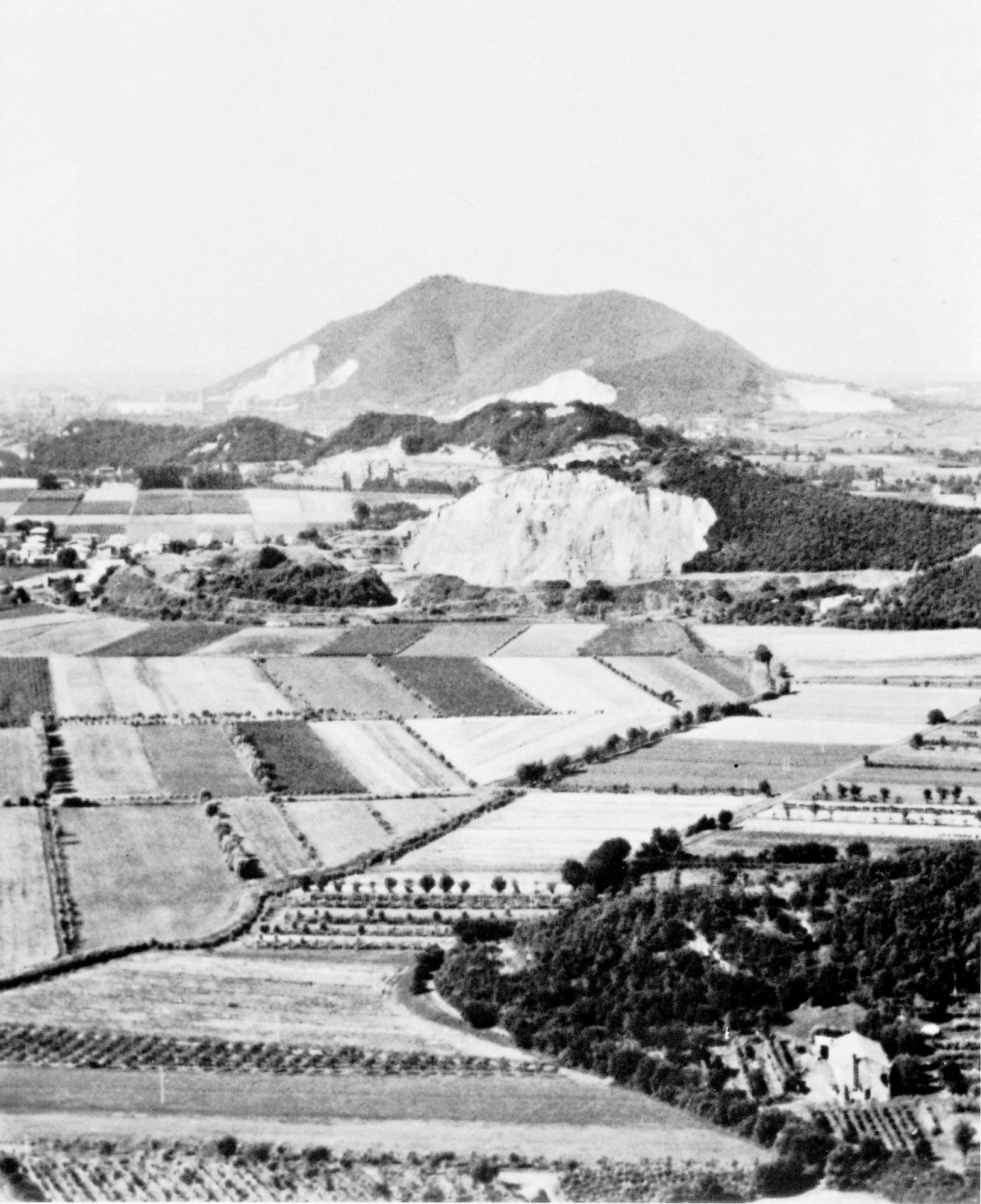 Monte delle Croci, nel territorio di Battaglia Terme.